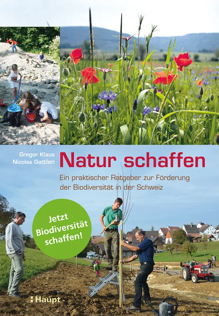 Vorderes Coverbild Natur schaffen