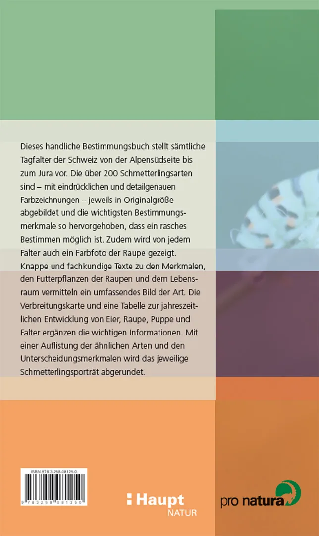 Rückseitencover Schmetterlinge