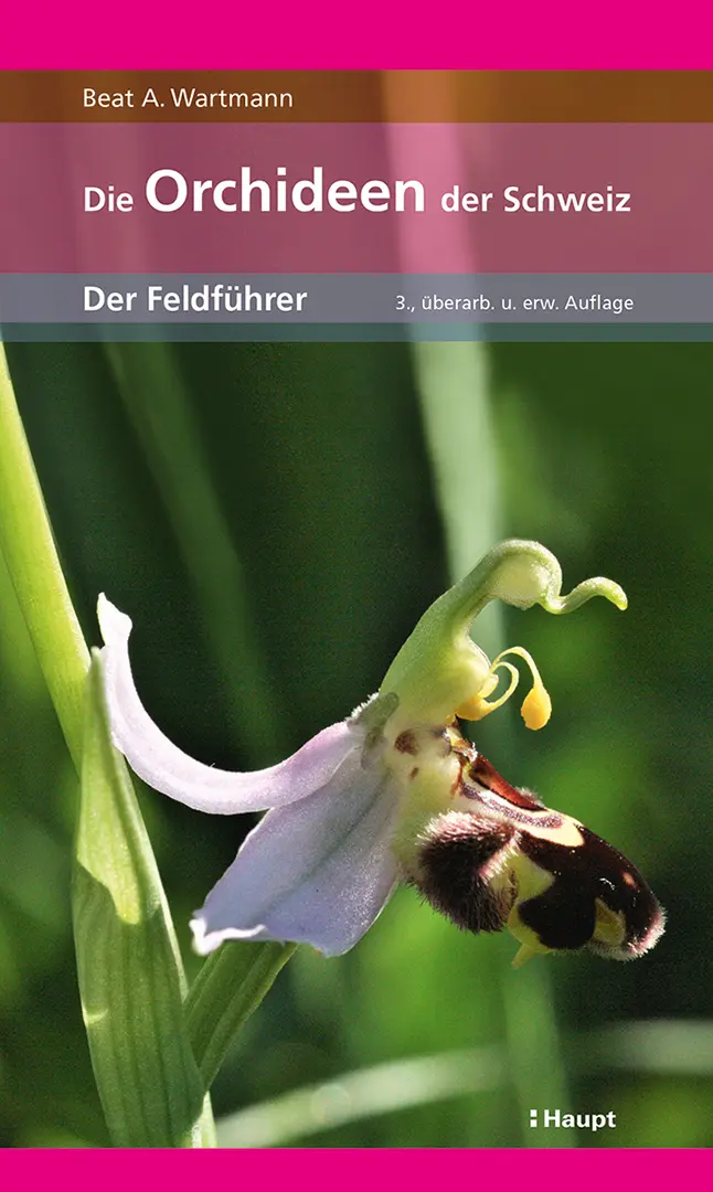 Vorderes Coverbild Die Orchideen der Schweiz