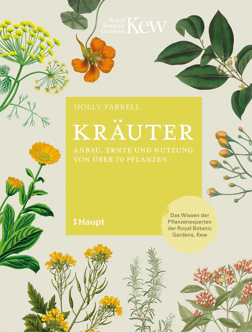 Vorderes Coverbild Kräuter