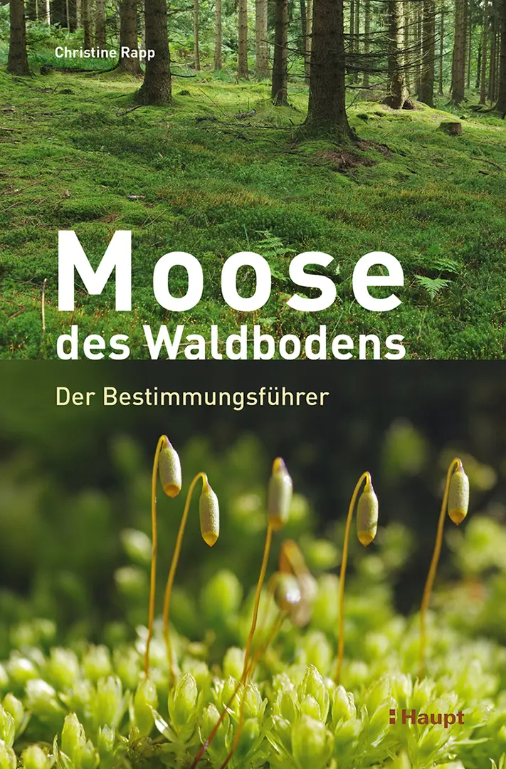Vorderes Coverbild Moose des Waldbodens