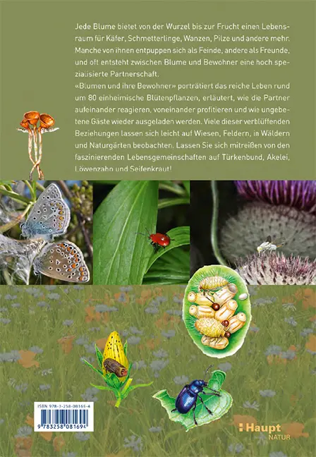 Rückseitencover Blumen und ihre Bewohner