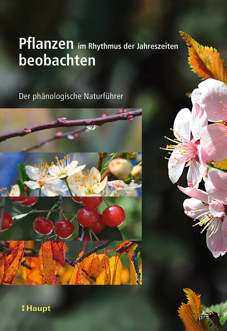 Vorderes Coverbild Pflanzen im Rhythmus der Jahreszeiten beobachten