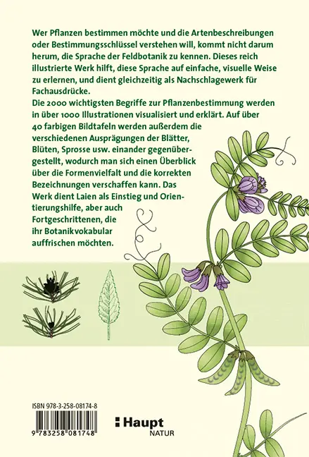Beispielinhalt (Bild) Das illustrierte Pflanzen-Glossar