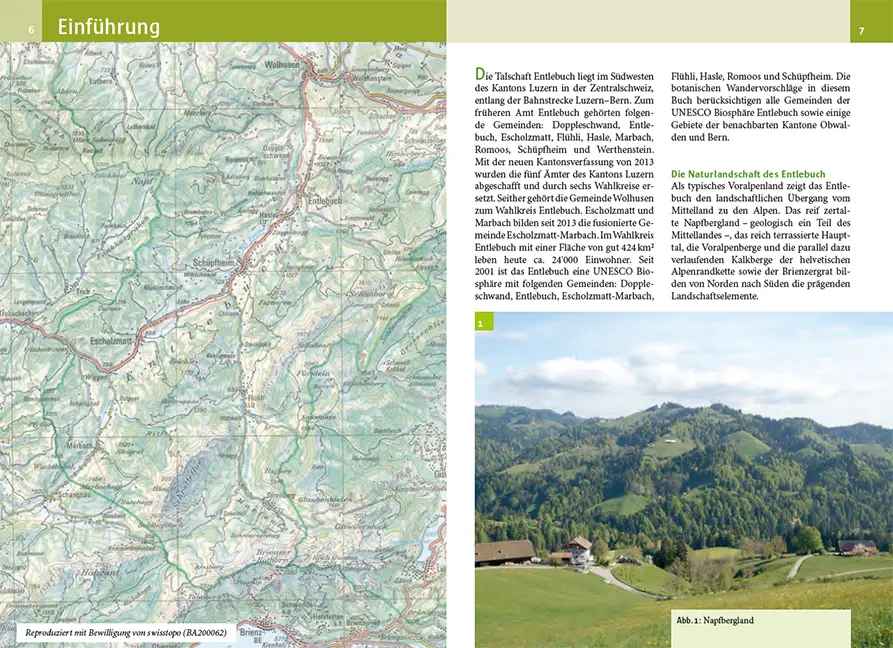 Beispielinhalt (Bild) Botanische Wanderungen in der UNESCO Biosphäre Entlebuch