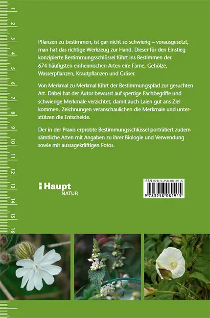 Beispielinhalt (Bild) Pflanzen einfach bestimmen