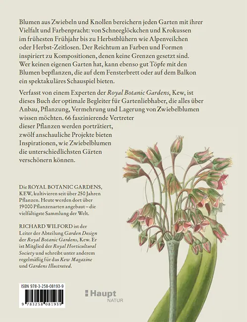 Rückseitencover Zwiebelpflanzen & Knollenblumen