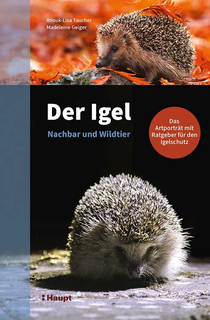Vorderes Coverbild Der Igel – Nachbar und Wildtier