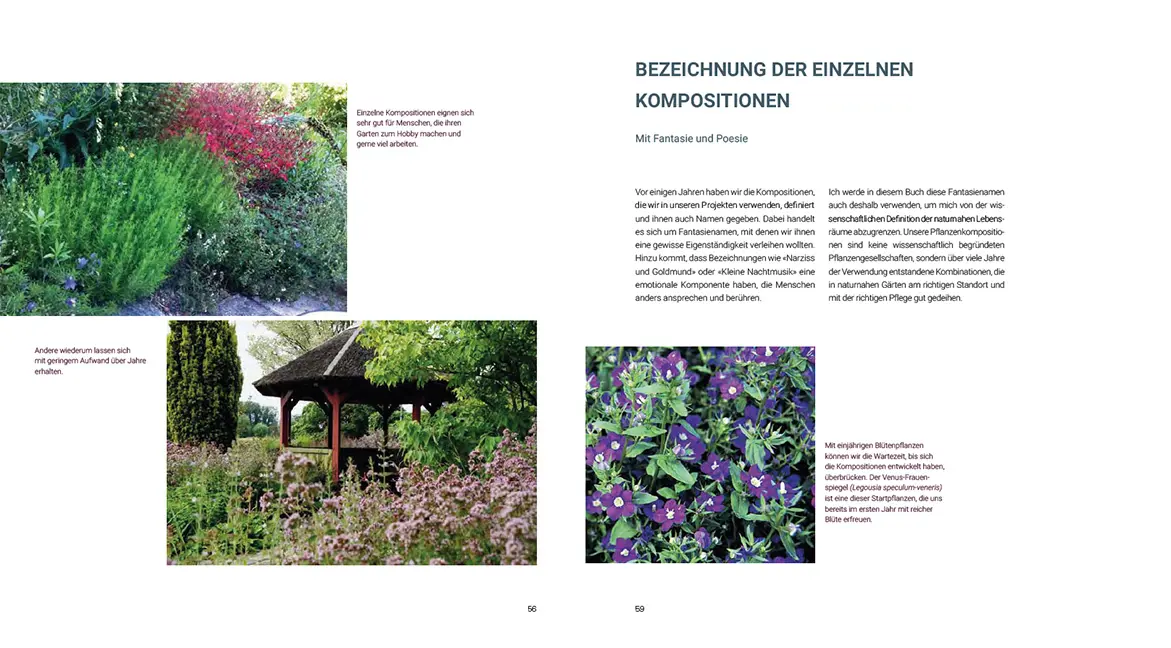 Beispielinhalt (Bild) Pflanzenkompositionen für den Naturgarten