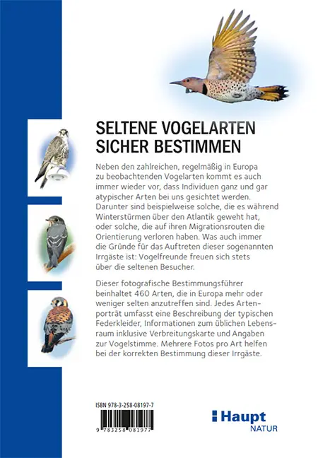 Beispielinhalt (Bild) Irrgäste