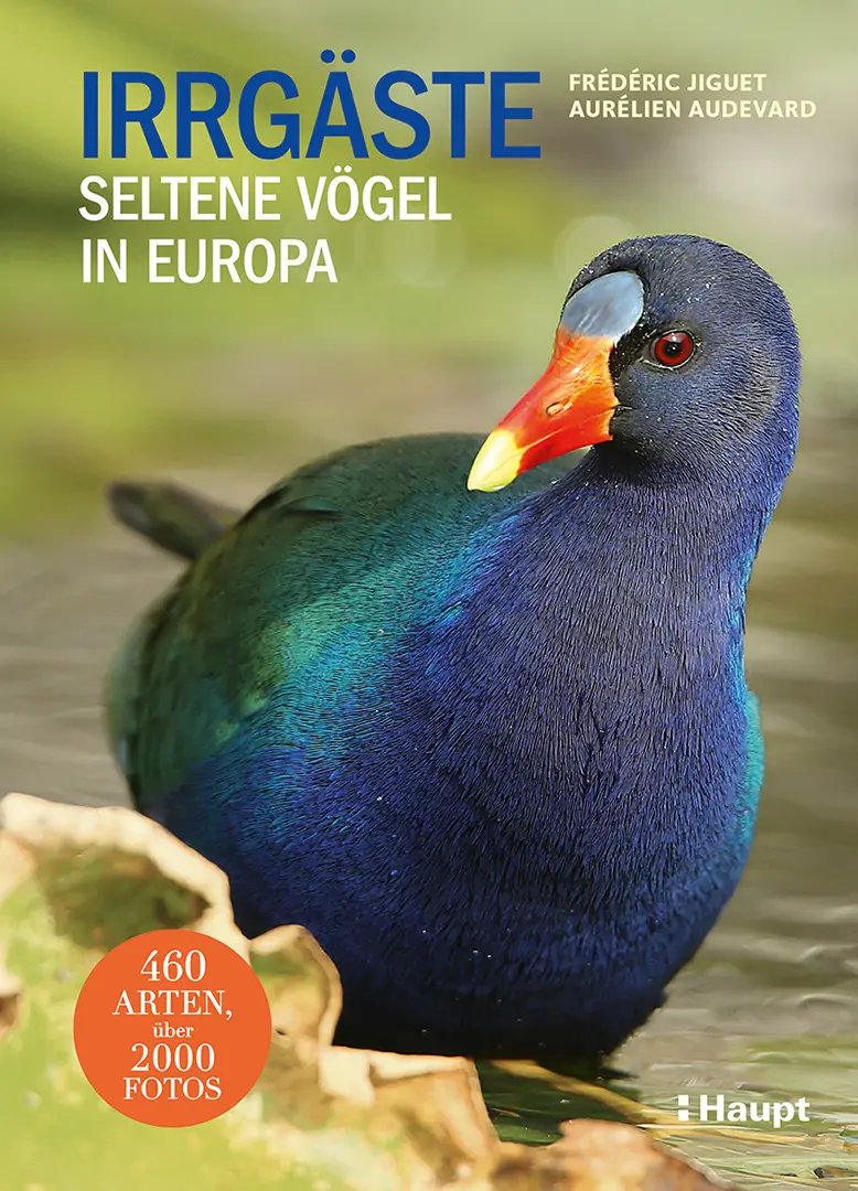Vorderes Coverbild Irrgäste