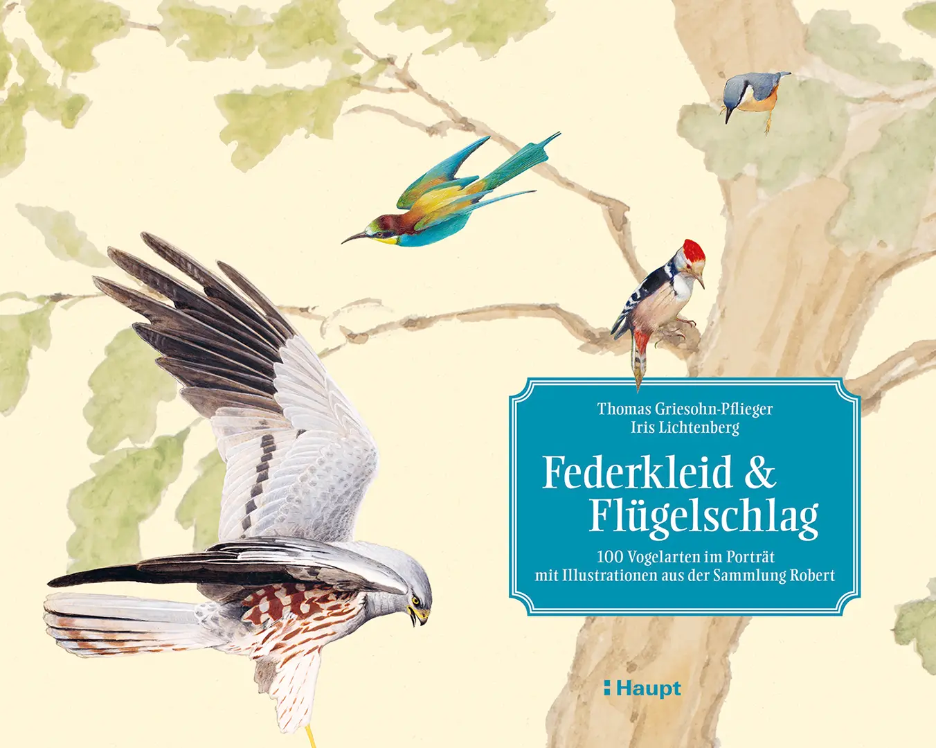 Vorderes Coverbild Federkleid & Flügelschlag