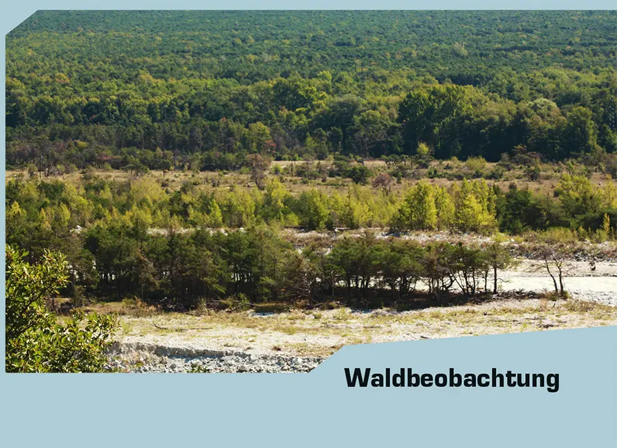 Beispielinhalt (Bild) Wandern, wo andere forschen
