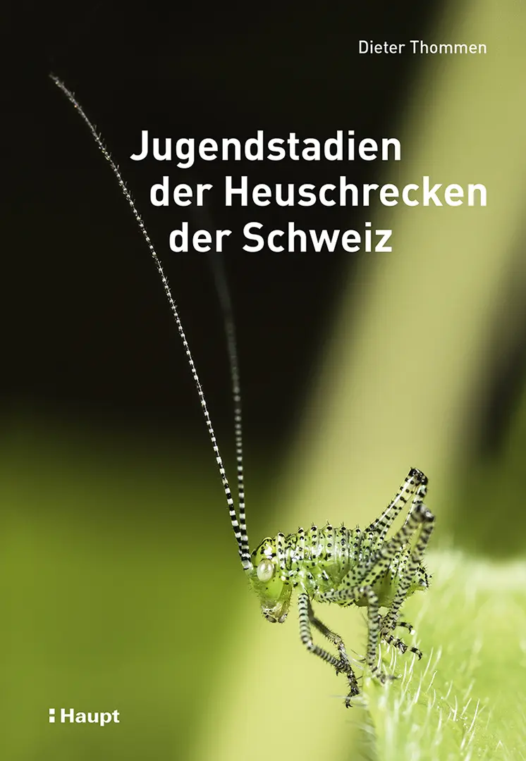 Vorderes Coverbild Jugendstadien der Heuschrecken der Schweiz