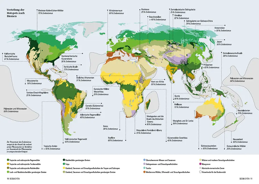 Beispielinhalt (Bild) Botanischer Schatz