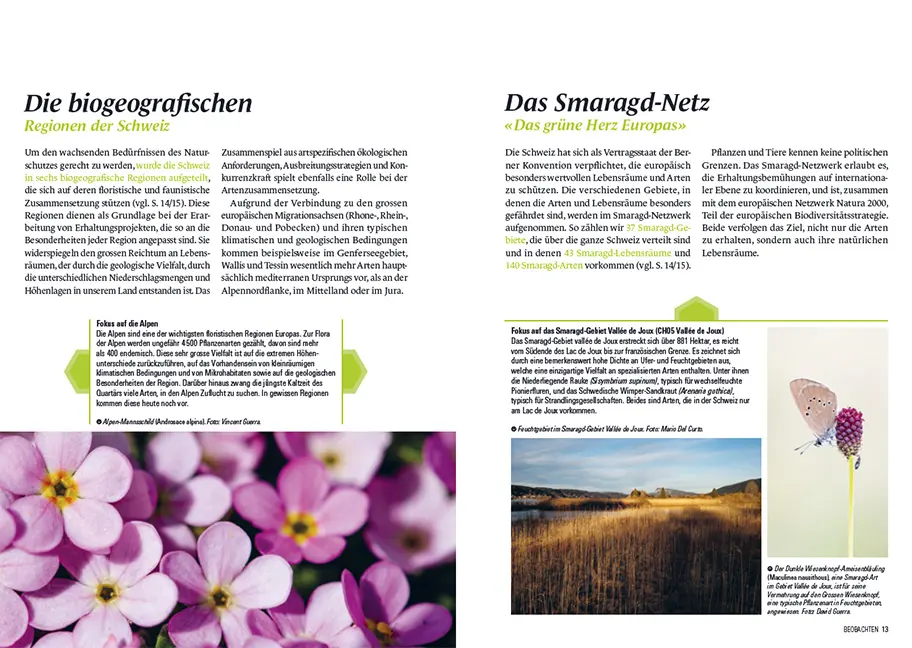 Beispielinhalt (Bild) Botanischer Schatz