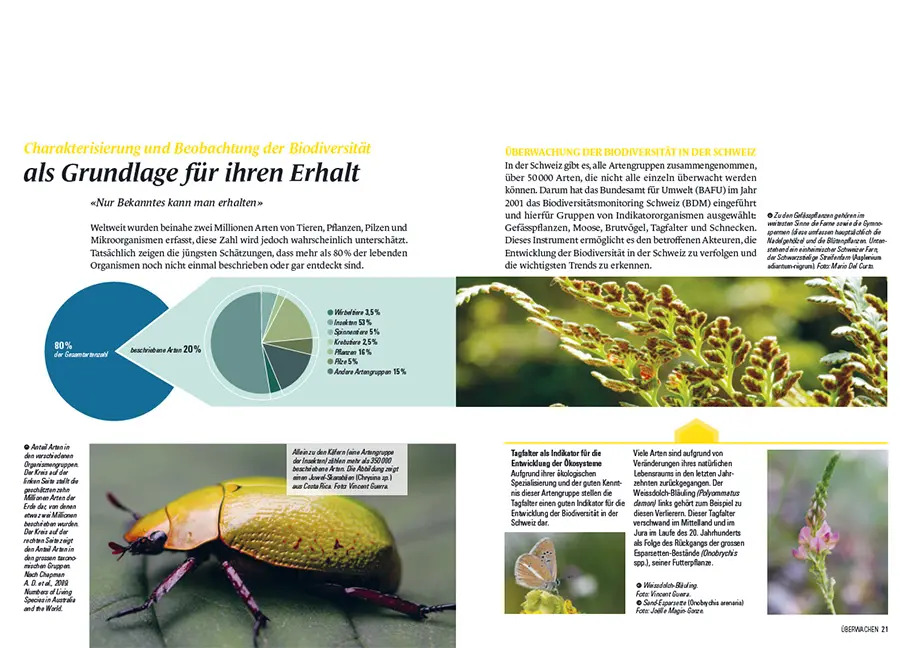 Beispielinhalt (Bild) Botanischer Schatz