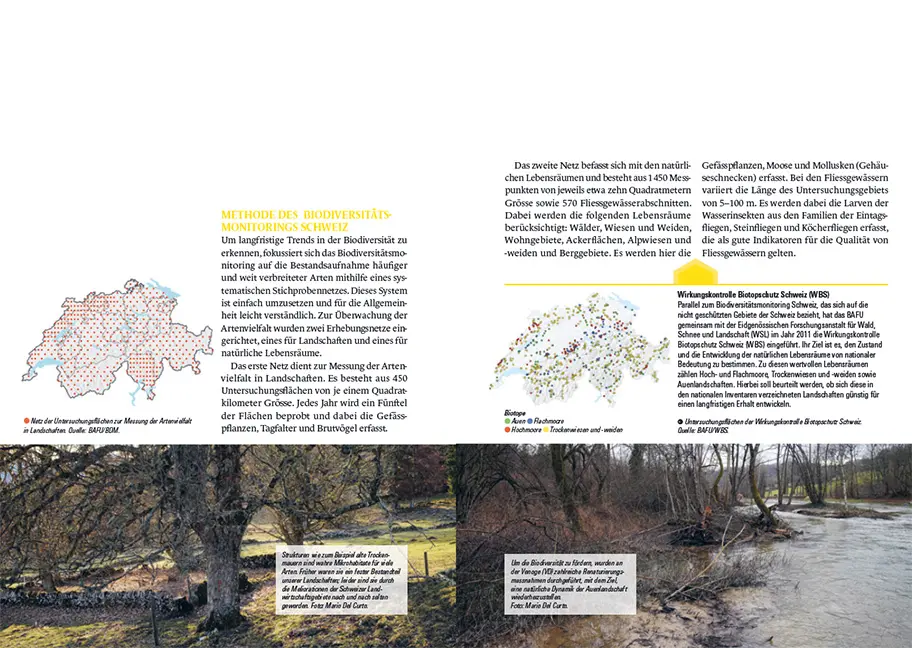 Beispielinhalt (Bild) Botanischer Schatz