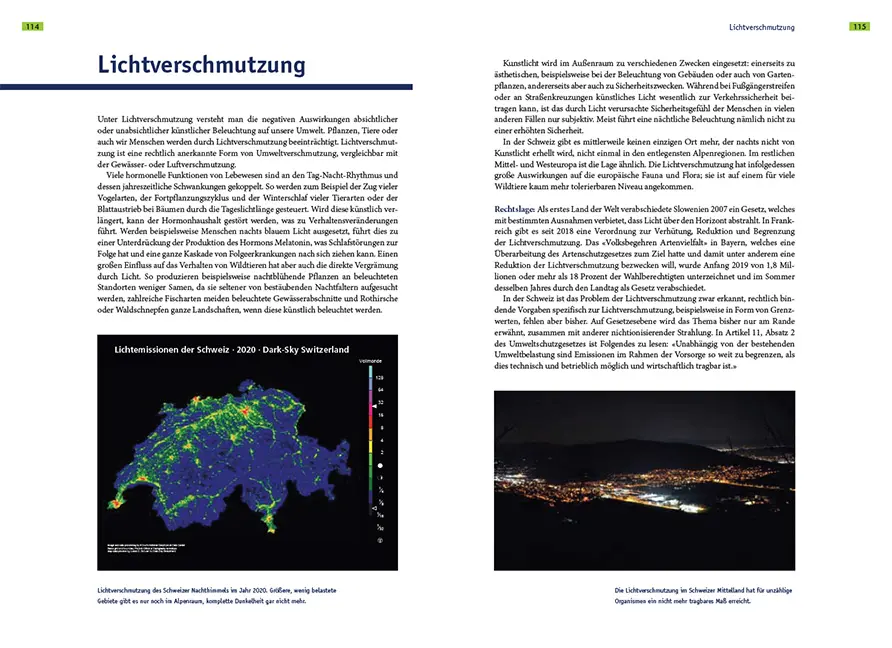 Beispielinhalt (Bild) Fledermausschutz