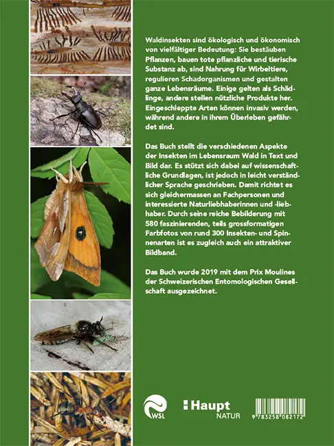 Beispielinhalt (Bild) Insekten im Wald