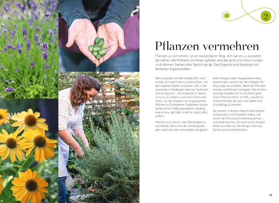Beispielinhalt (Bild) Garten-Alchemie