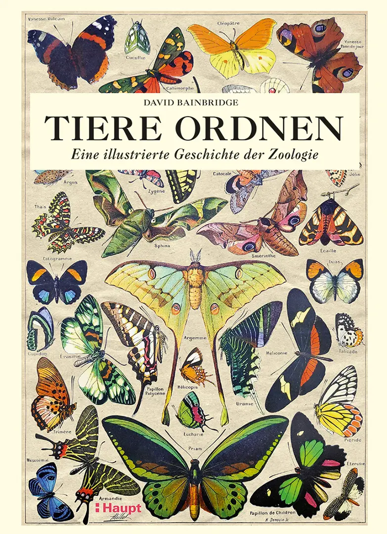 Vorderes Coverbild Tiere ordnen