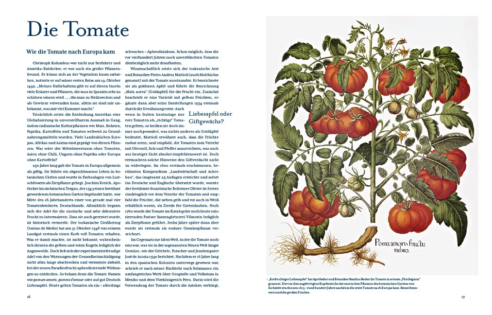 Beispielinhalt (Bild) Tomatenlust
