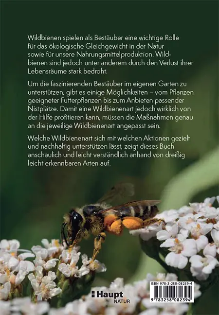 Rückseitencover Wildbienen artgerecht unterstützen