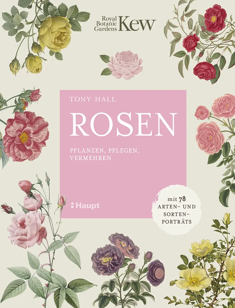 Vorderes Coverbild Rosen