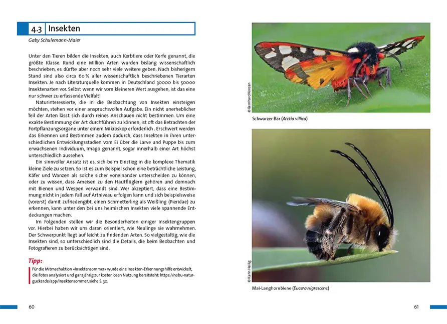 Beispielinhalt (Bild) Praxisbuch Naturgucken