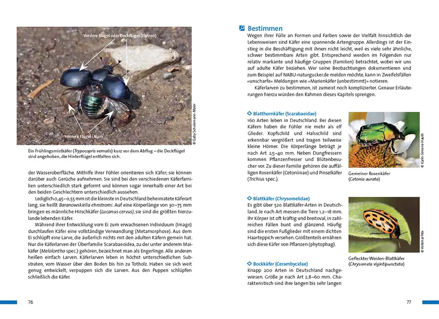Beispielinhalt (Bild) Praxisbuch Naturgucken