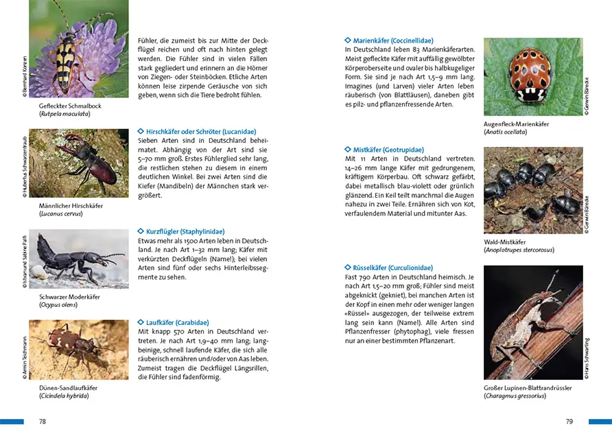 Beispielinhalt (Bild) Praxisbuch Naturgucken