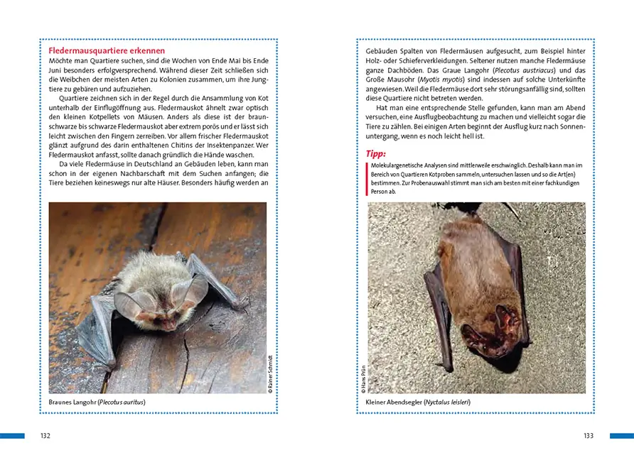 Beispielinhalt (Bild) Praxisbuch Naturgucken