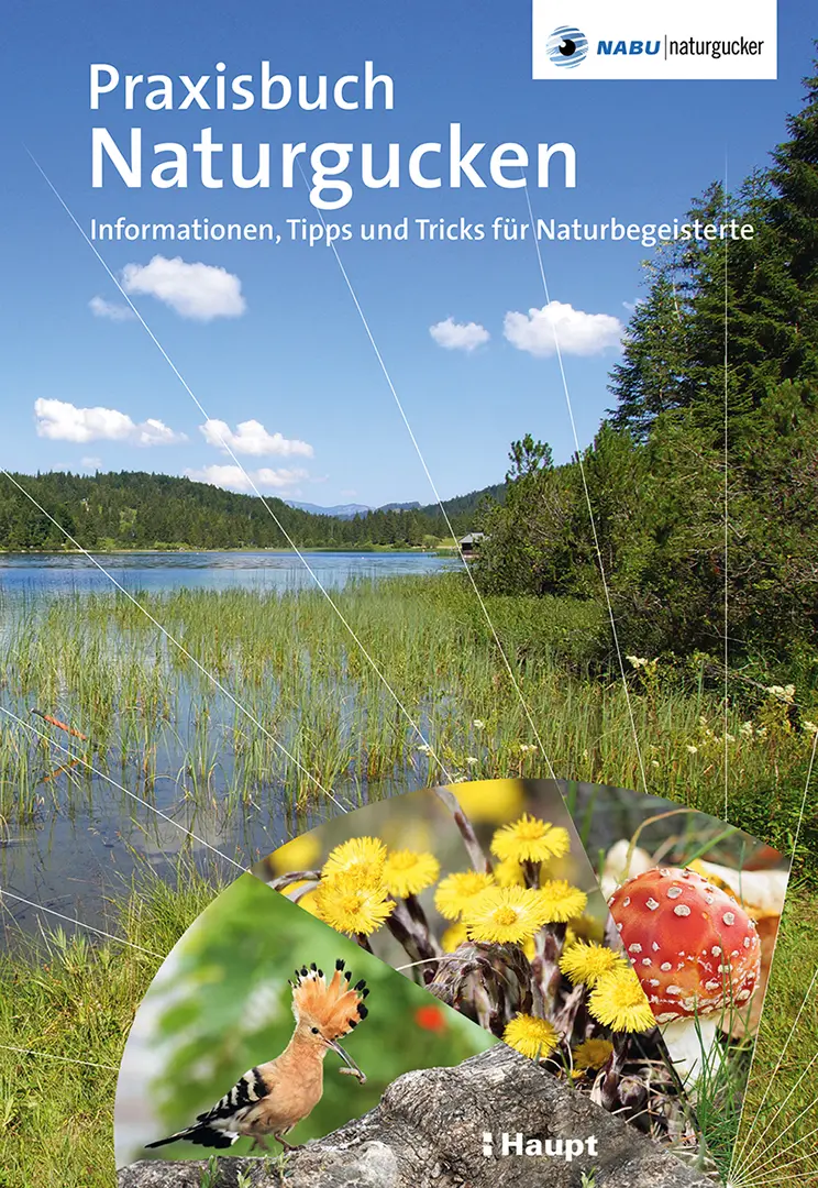 Vorderes Coverbild Praxisbuch Naturgucken