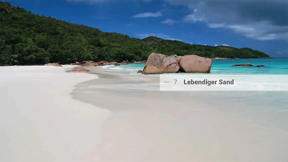 Beispielinhalt (Bild) Das große Buch vom Sand