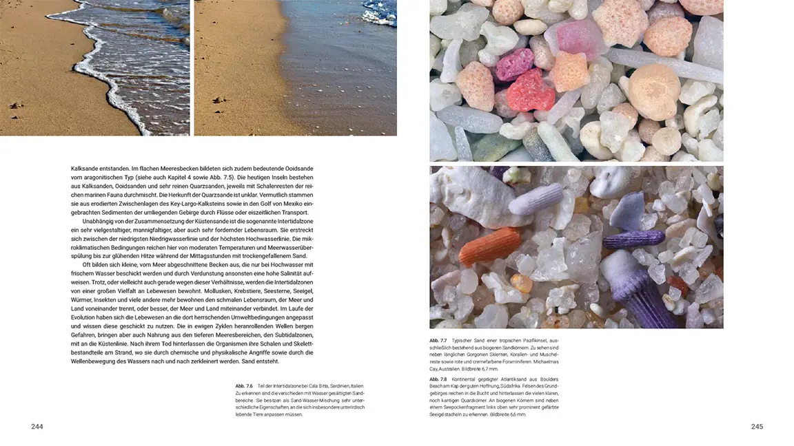Beispielinhalt (Bild) Das große Buch vom Sand