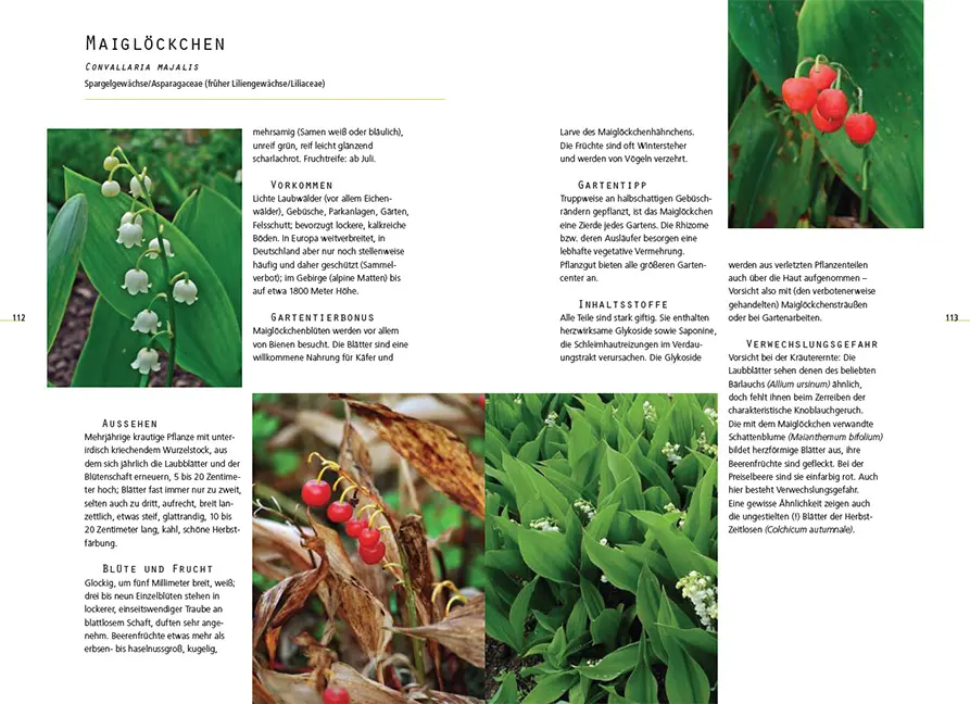 Beispielinhalt (Bild) Gefährliche Schönheiten - Giftpflanzen im Garten