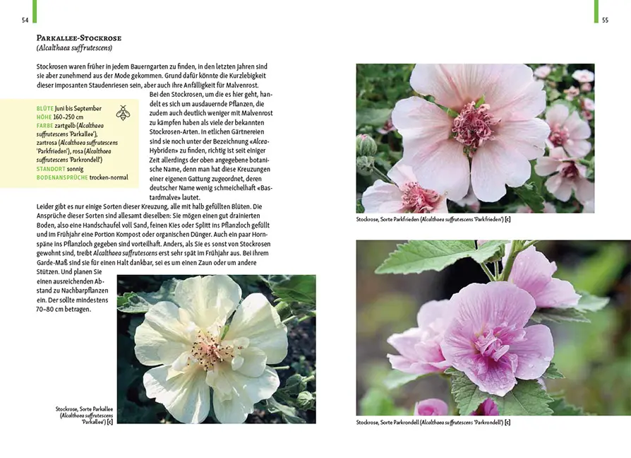 Beispielinhalt (Bild) Gartenschätze