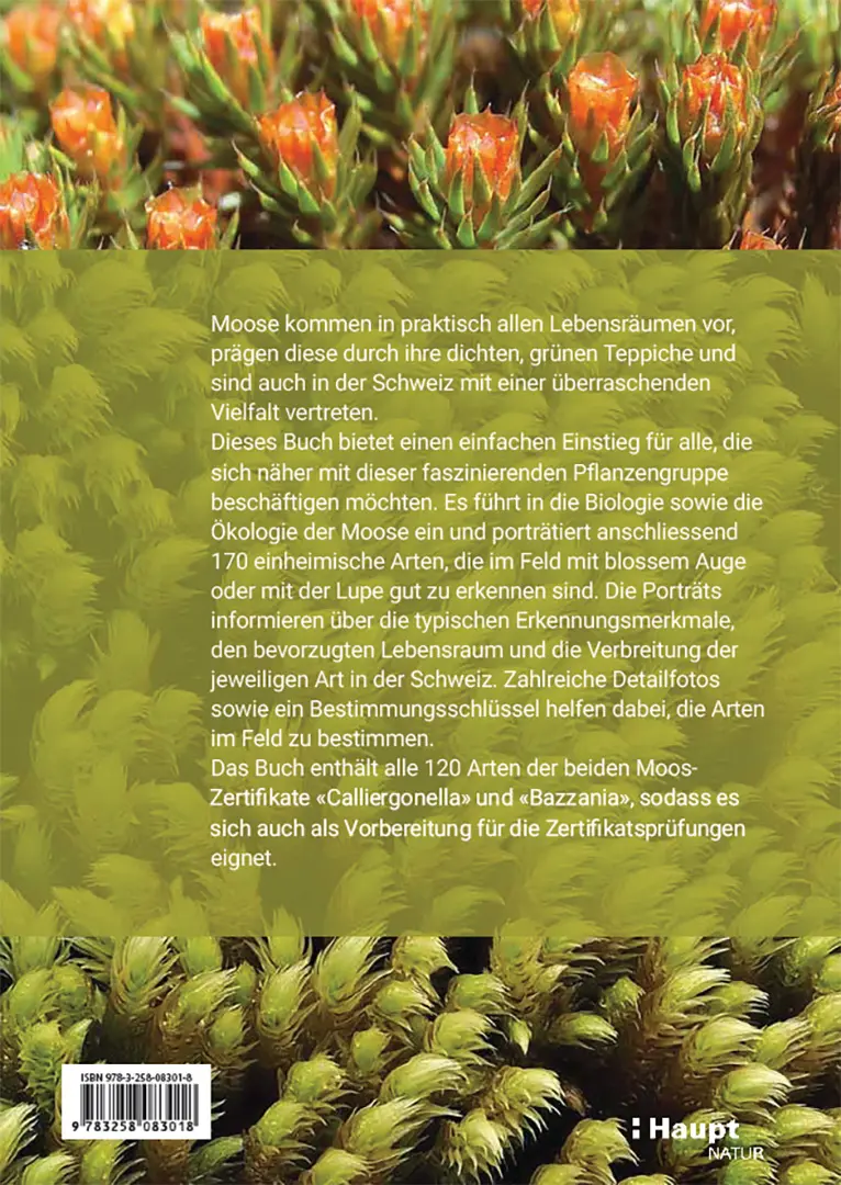 Beispielinhalt (Bild) Moose der Schweiz