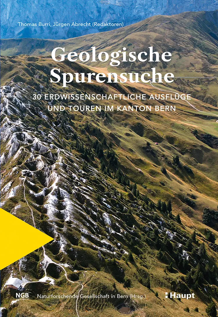 Vorderes Coverbild Geologische Spurensuche