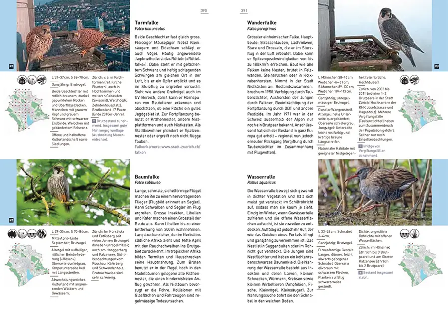 Beispielinhalt (Bild) Neue Stadtfauna