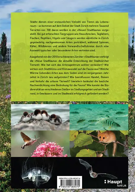 Rückseitencover Neue Stadtfauna