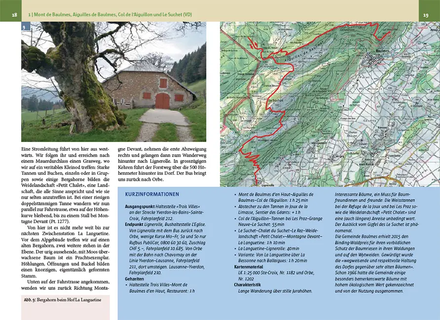 Beispielinhalt (Bild) Baumwanderungen