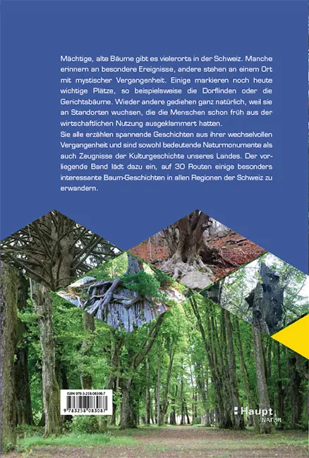 Beispielinhalt (Bild) Baumwanderungen