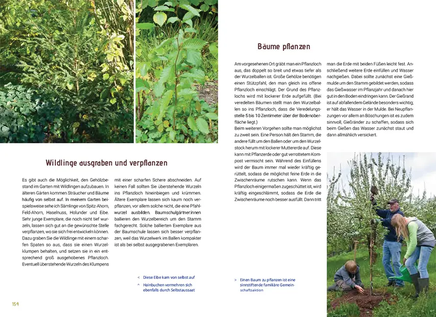 Beispielinhalt (Bild) Mein Gartenbaum - klimarobust und klimaschützend