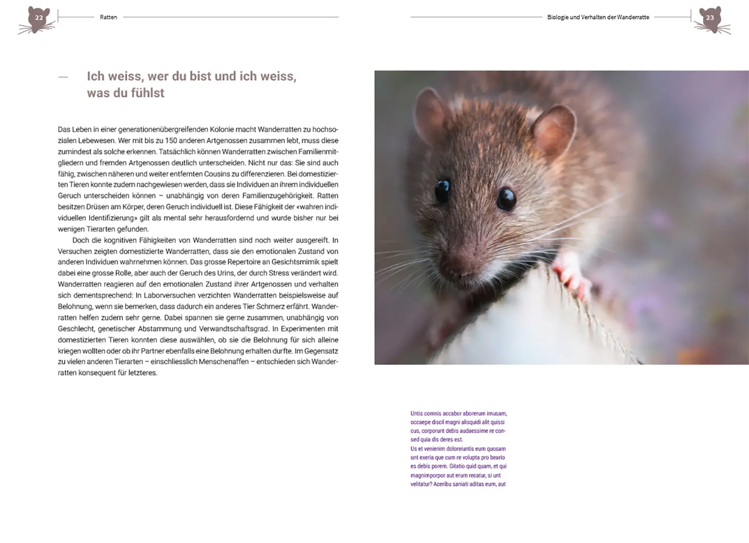 Beispielinhalt (Bild) Ratten