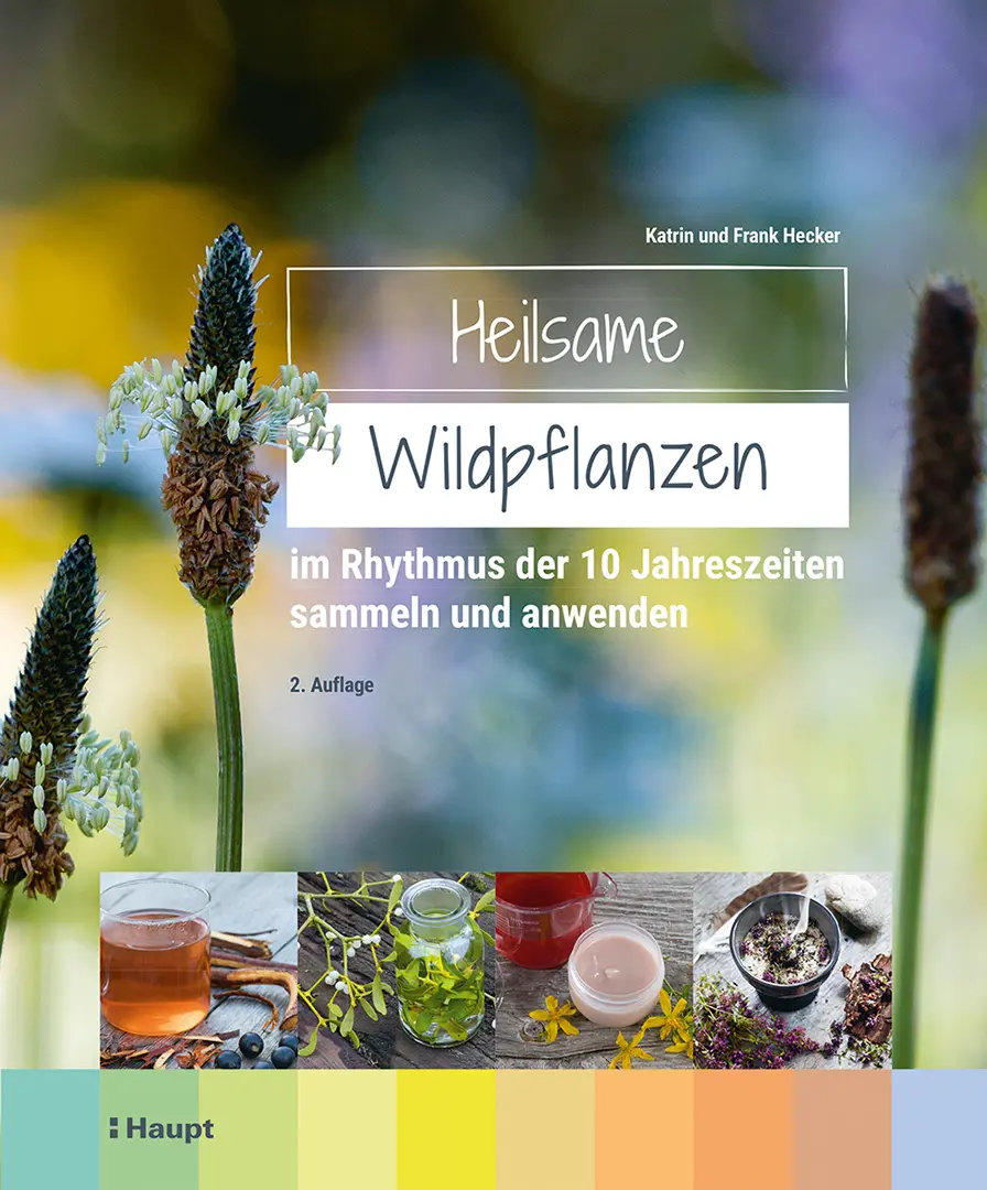 Vorderes Coverbild Heilsame Wildpflanzen