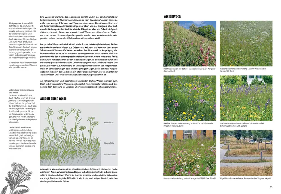 Beispielinhalt (Bild) Praxishandbuch Stadtnatur