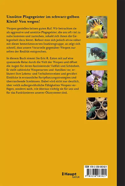 Beispielinhalt (Bild) Wespen