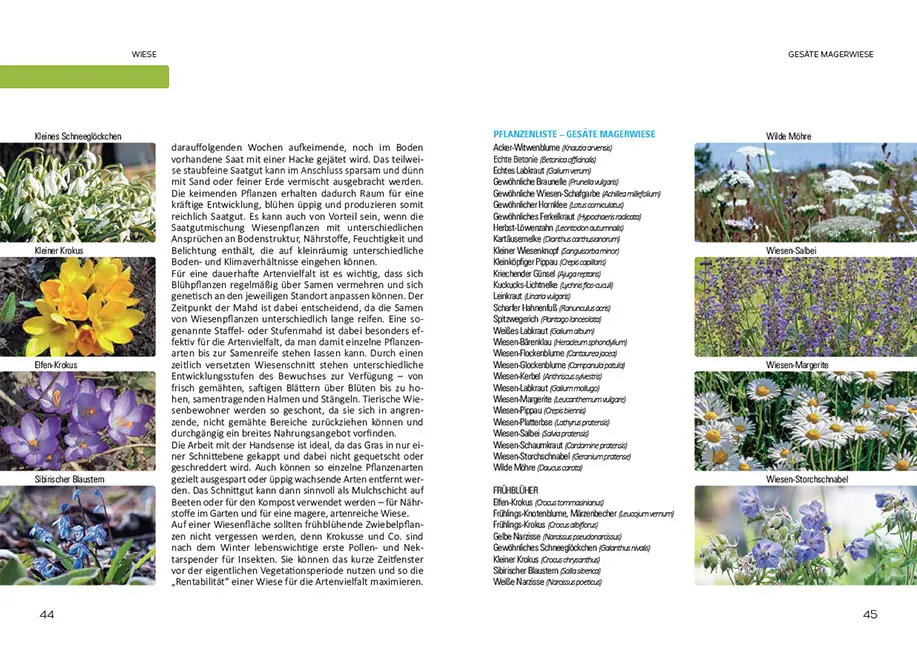 Beispielinhalt (Bild) So geht Naturgarten